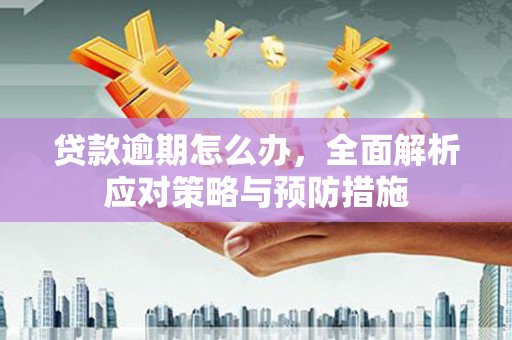 雁塔贷款逾期怎么办，全面解析应对策略与预防措施