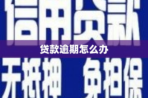 雁塔贷款逾期怎么办