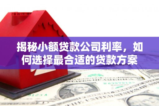 雁塔揭秘小额贷款公司利率，如何选择最合适的贷款方案