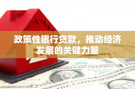雁塔政策性银行贷款，推动经济发展的关键力量