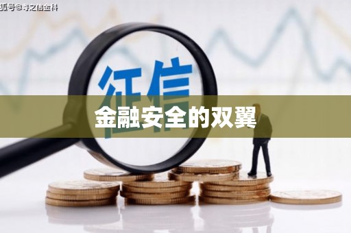 雁塔金融安全的双翼