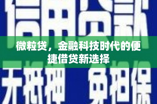 雁塔微粒贷，金融科技时代的便捷借贷新选择