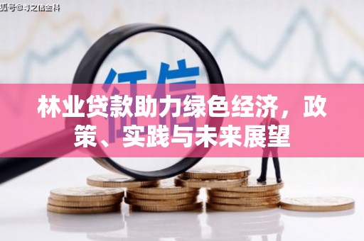 雁塔林业贷款助力绿色经济，政策、实践与未来展望