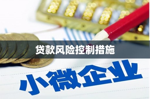 雁塔贷款风险控制措施